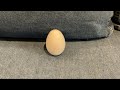 石川よしひろ『部屋トーク!』