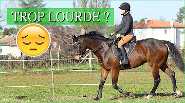 Quel poids doit faire mon cheval ?