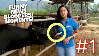 Funny News Bloopers/Moments 2020 #1