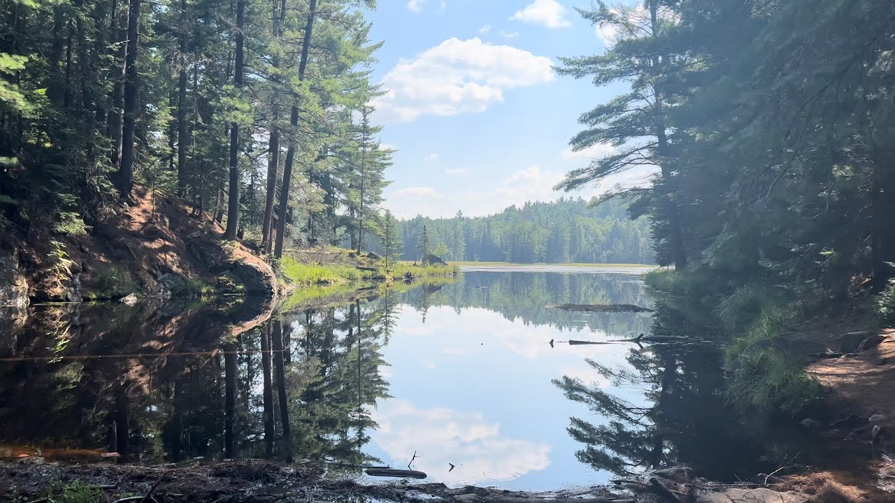 Algonquin Park, Ontario - Beaver Pond Trail, August 2025