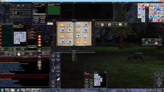 EverQuest - A Few Macros for Multi-boxing