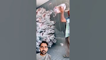 Frozen Fish Unloading process- Good tools 🔧 and machinery make work easier