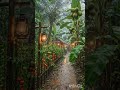 #viral #rainsounds #naturelovers #asmr #asmrvideo #naturephotography #natureza #trendingshorts #like