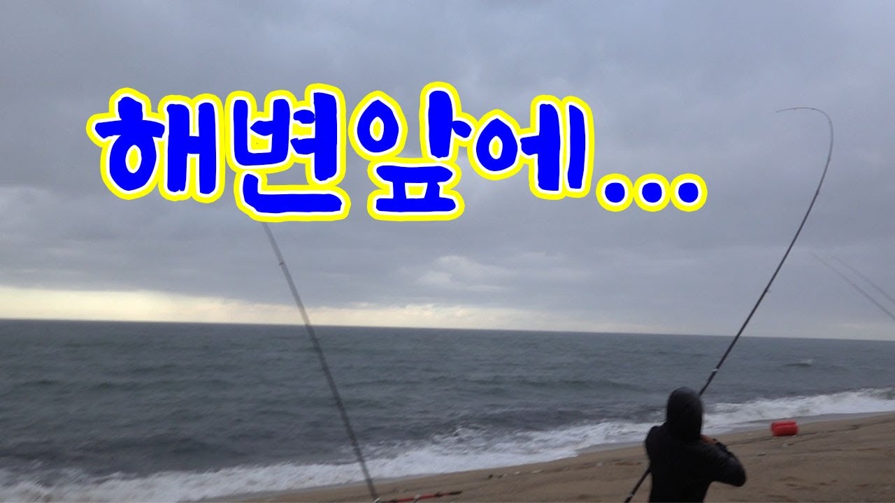 비오는날 해변에서 고급 물고기가 막나온다!!  잡아보자 !! /Fish that makes you healthy just by looking at it.