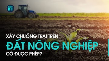Có được xây dựng chuồng trại trên đất nông nghiệp không? | VTC1