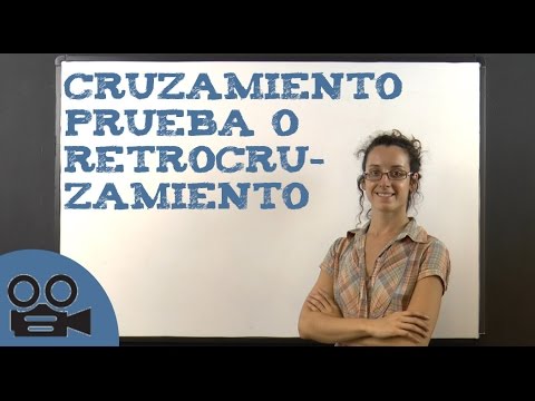 Video: ¿Qué es una cruz de prueba de tres puntos?