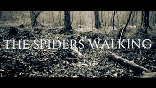 Hadalunna - Spiders Over Me