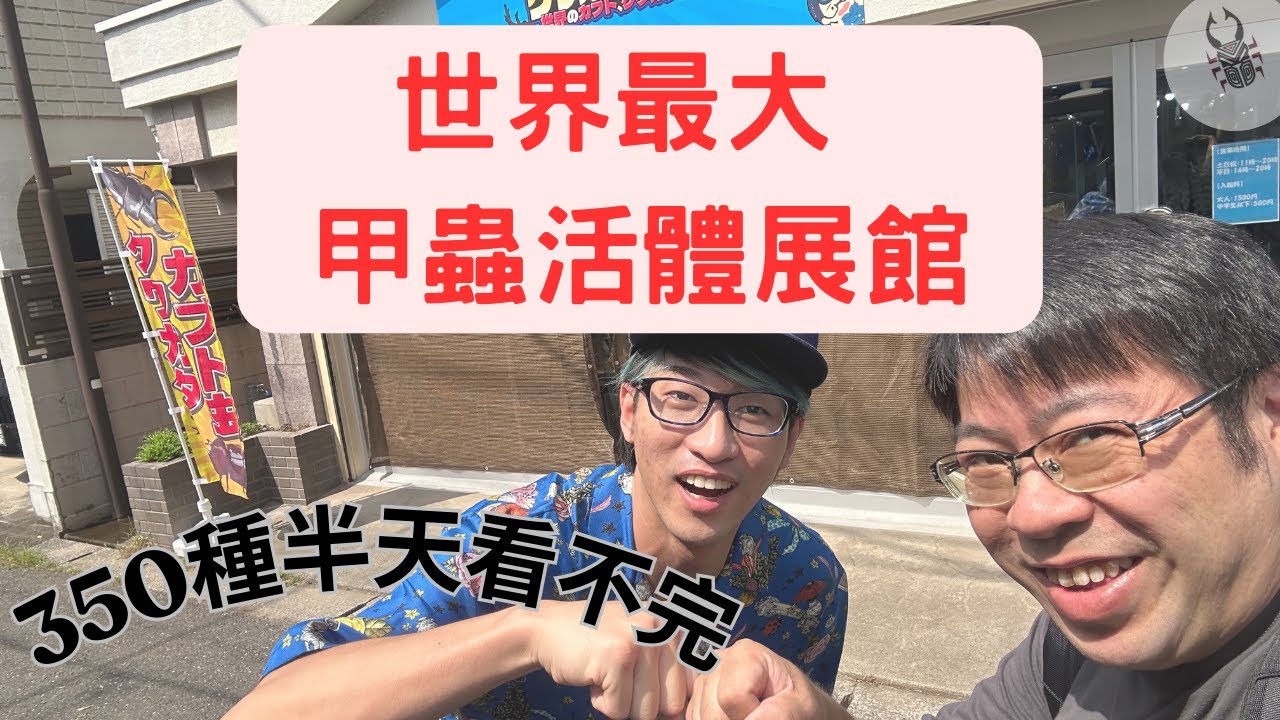 甲蟲活體展覽館｜世界最大物種最多｜日本クワカブの部屋【旅拍】