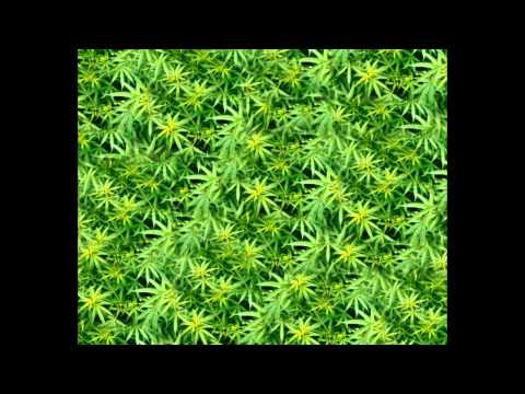 Weed Awareness
