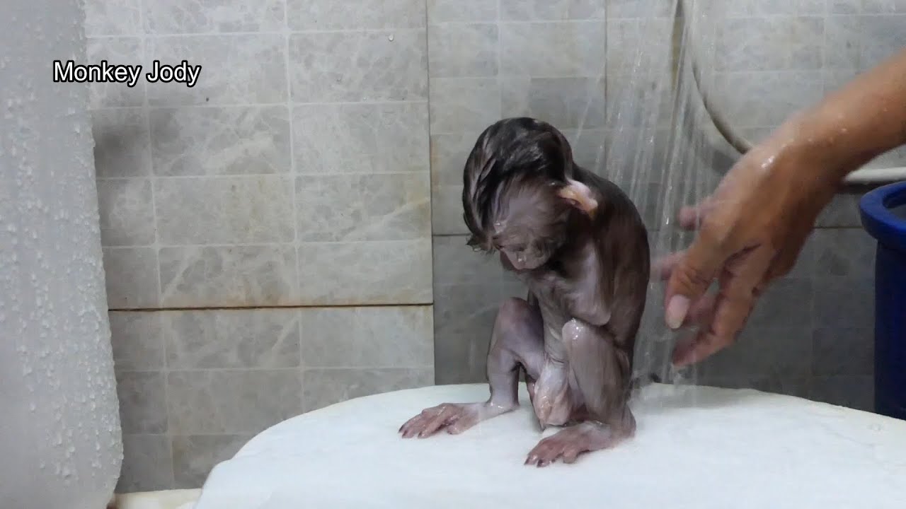 Little baby Jody Sit Take bath Shower Like AReal Baby Human.