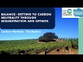 Getting to Carbon Neutrality Through Sequestration and Offsets - Carbon Markets - The Basics