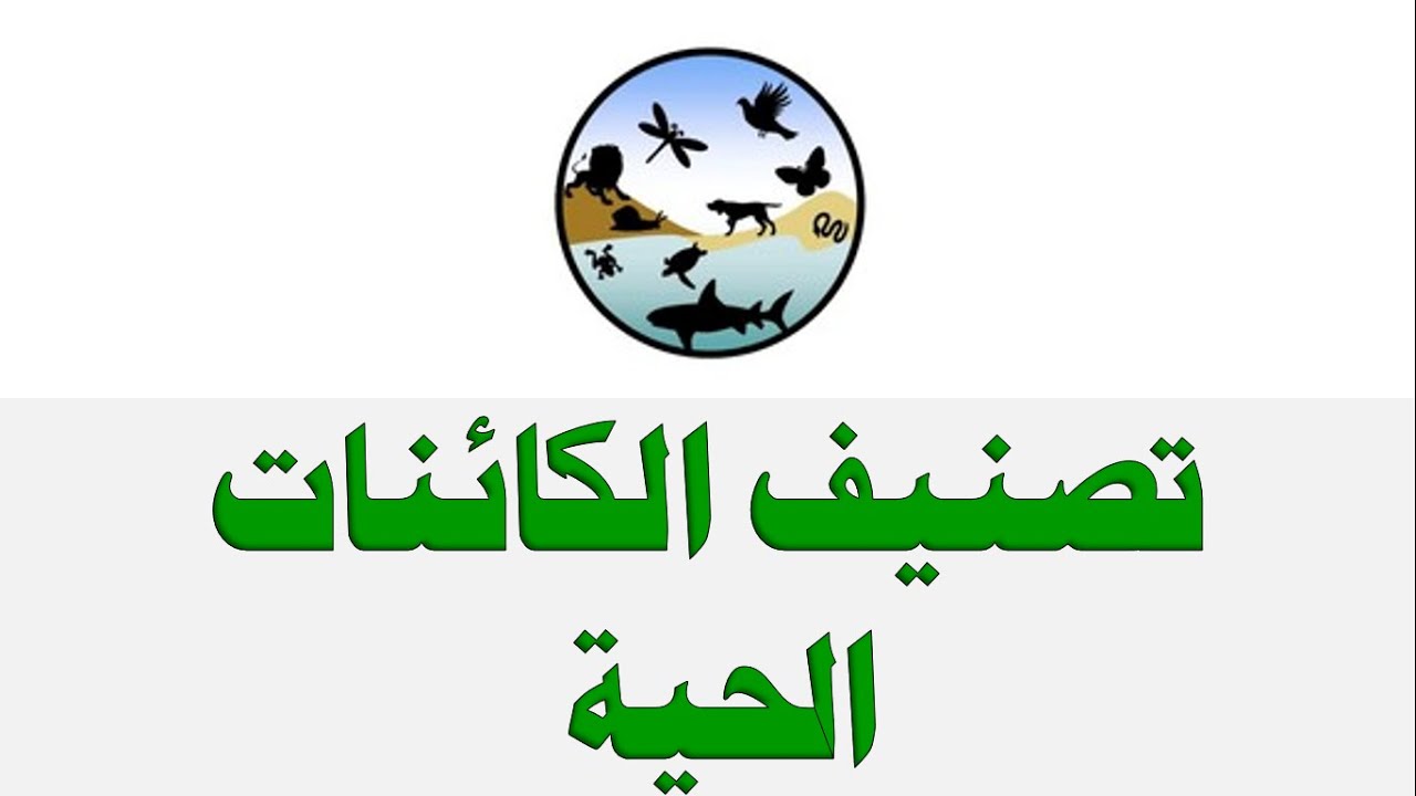 الى الحيه تقسم المخلوقات علم تقسيم