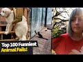 Top 100 ULTIMATE Funniest Animal Fails Compilation | Funny Pet Fails