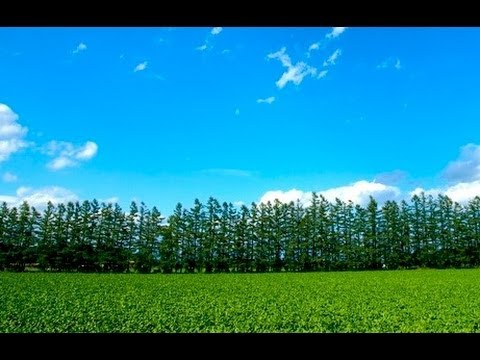 Hd 北海道ガーデン街道 7つのガーデン名所を紹介 Hokkaido Garden Road 花の名所案内 Flowers Garden Youtube