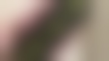 Reload S RTA (Clones)Just as great or worthless trash!? Well....