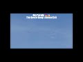 Goosebumps in the Sky- The Great Waddle Fly-Out #CanadaGeese #short