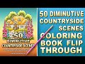 50 diminutive countryside scenes  adult coloring book flip country cottages coloring book
