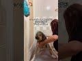 大型犬飼い主あるある