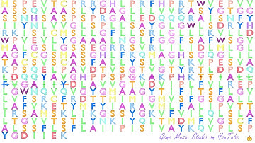 Gene Music using Protein Sequence of SLC46A2 "SOLUTE CARRIER FAMILY 46, MEMBER 2"