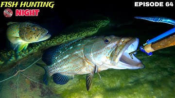 Wauw! Vier tandbaarzen gevangen | Nachtelijk speervissen aflevering 64 | Vissen in de nacht
