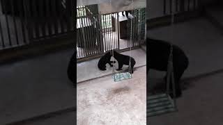 1071013福州動物園