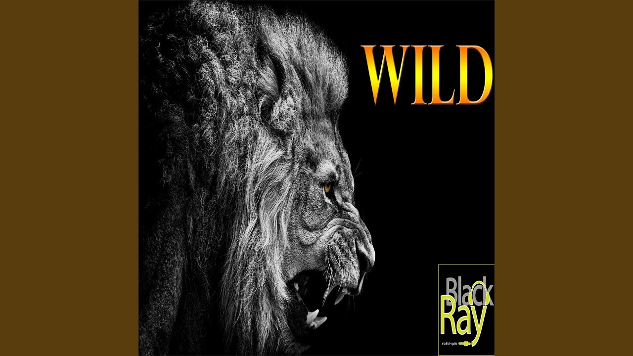 Watch Wild on YouTube Watch Wild on YouTube