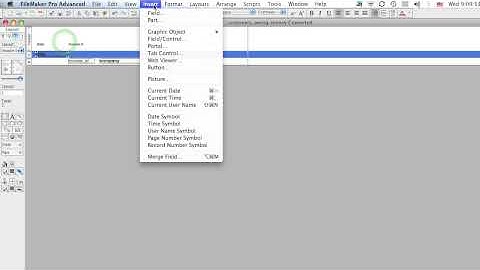 Subsummary Reports & Summary Fields