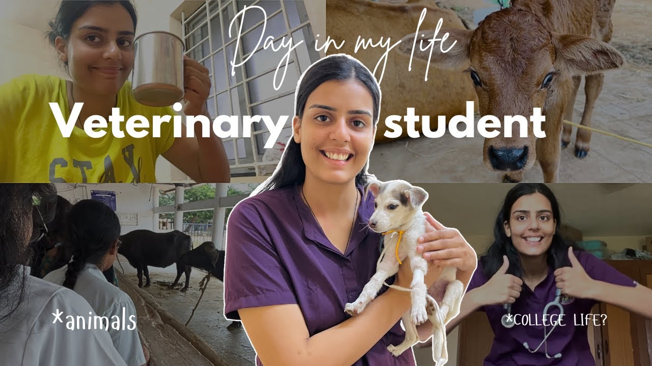 Day in life of a 3rd year *Veterinary* student🥼🩺|College |Hostel #vet #veterinary #vlog #dayinmylife