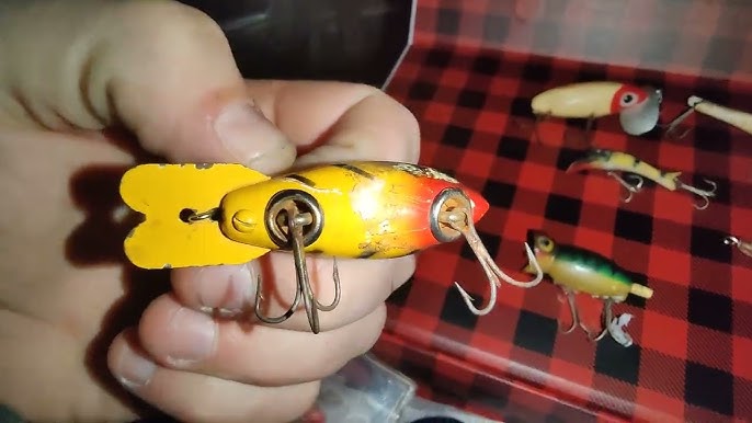 Child Has World's Largest Lure Collection Valued At Over $12K