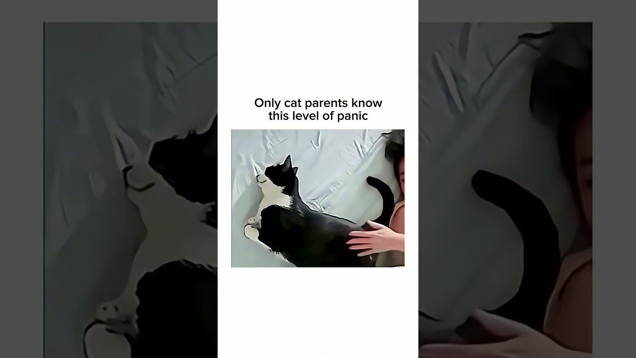 Music and memefits same 