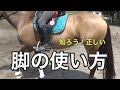 脚の使い方【乗馬・馬術】How to use the legs【HorseCommunicationJapan】