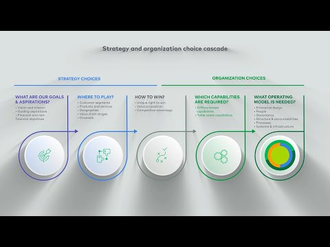 Reinventing the Operating Model for Strategy Execution - video from L.E.K. Consulting
