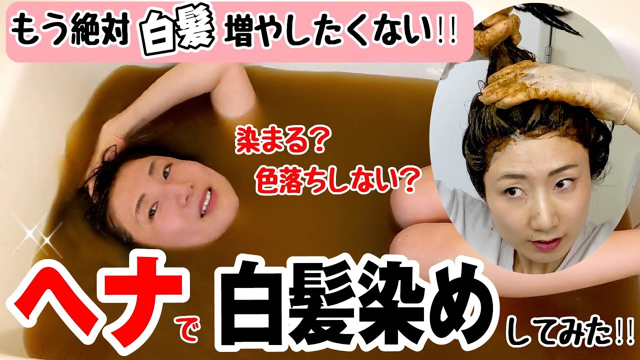 【白髪なくしたい人へ】ヘナで髪の毛を染めてみたので感想をすべて伝えます。色落ち？ツヤ感？値段は？白髪はどうして生えるの？