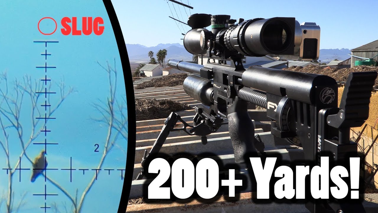 200+ Yards PCP Airgun Hunting - Pushing the Limits!