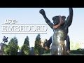 UFC 178 Embedded: Vlog Series - Episode 2