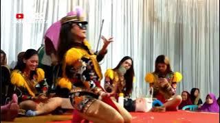 DOLALAK PURWORJO TERBARU || TAMAN CURUG || DOLALAK KENDOGO PUTRI LESTARI PURWOREJO