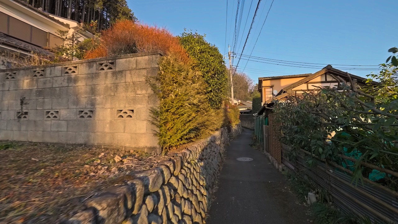 Rural Tokyo, Ome at sunset