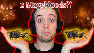 PATH OF EXILE 3.16 - DOUBLE CORRUPTING 2 MAGEBLOODS - 700 EXALTED ORB CORRUPTION!!