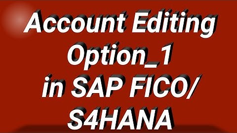 Accounting Editing Option_1 in SAP FICO