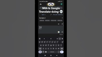What the hell is Google Translate doing 💀#shorts #meme