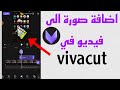 طريقة اضافة صورة على الفيديو في برنامج Vivacut اضافة صورة الى الفيديو في Vivacut 