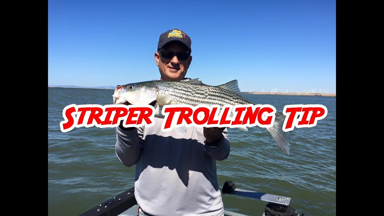  Striper Trolling 101: Trolling for Stripers in