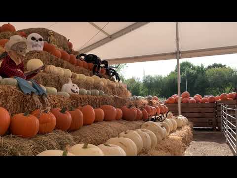 Sunnyfields Farm - Pumpkin Time 2022