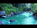 Fresh Mountain River in Tropical Forest – Stunning Nature Landscape
