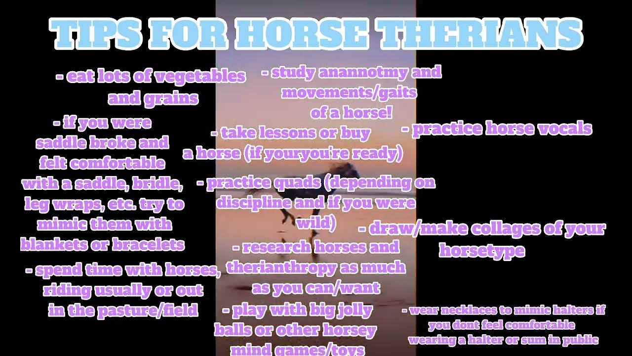 Tips For Horse Therians - YouTube