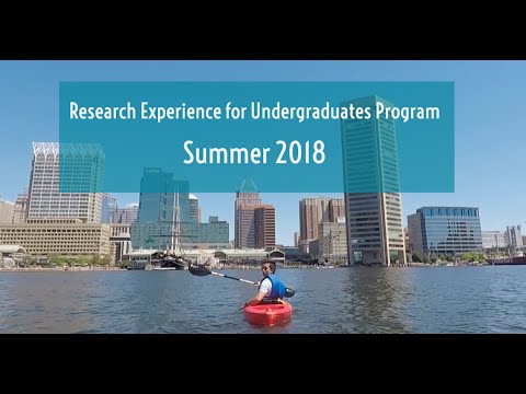 Summer 2018 NanoBio REU Student Experience 