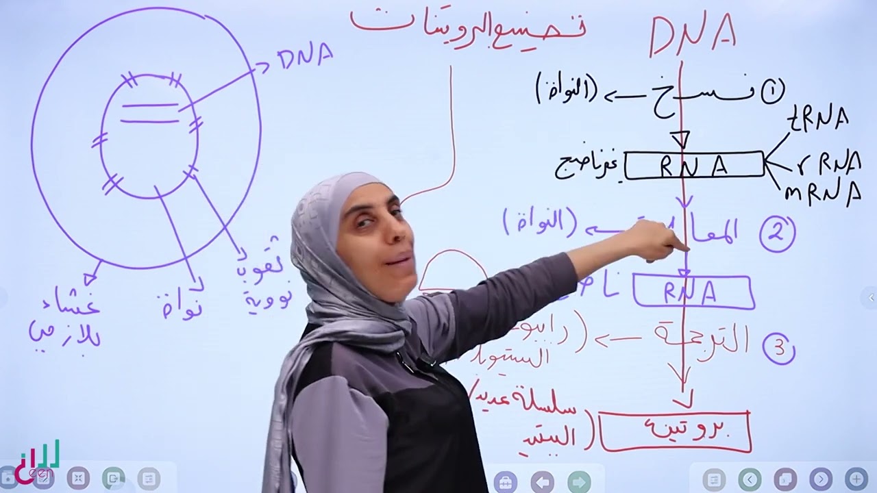 حصة تأسيس هامة جدا قبل البدء بدرس تصنيع البروتينات#توجيهي #2008 #اكسبلور #followme 