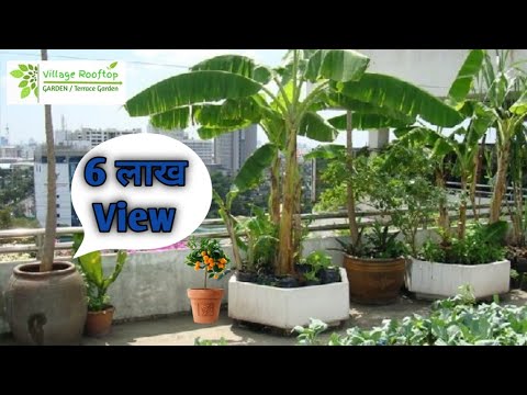 Terrace Gardening Best Winter Vegetables Grow In Containers Hindi Village Rooftop Garden You Terrace Gardening Best Winter, Home Vegetable Garden Ideas In Hindi