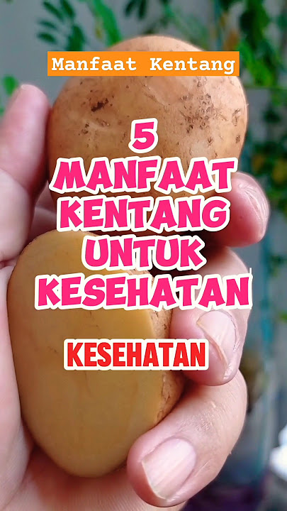 inilah 5 manfaat kentang vyang harus kamu tahu. #manfaatkentang #tipssehat #kentanggoreng