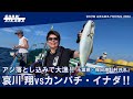 哀川翔vs カンパチ&イナダ‼︎ アジ落とし込みで大漁‼︎ 【千葉県・保田港『村井丸』】